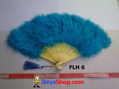 FLH 6  large2